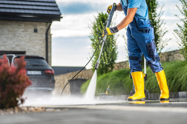 Best Soft Washing for Delicate Surfaces in Orange Park, FL
